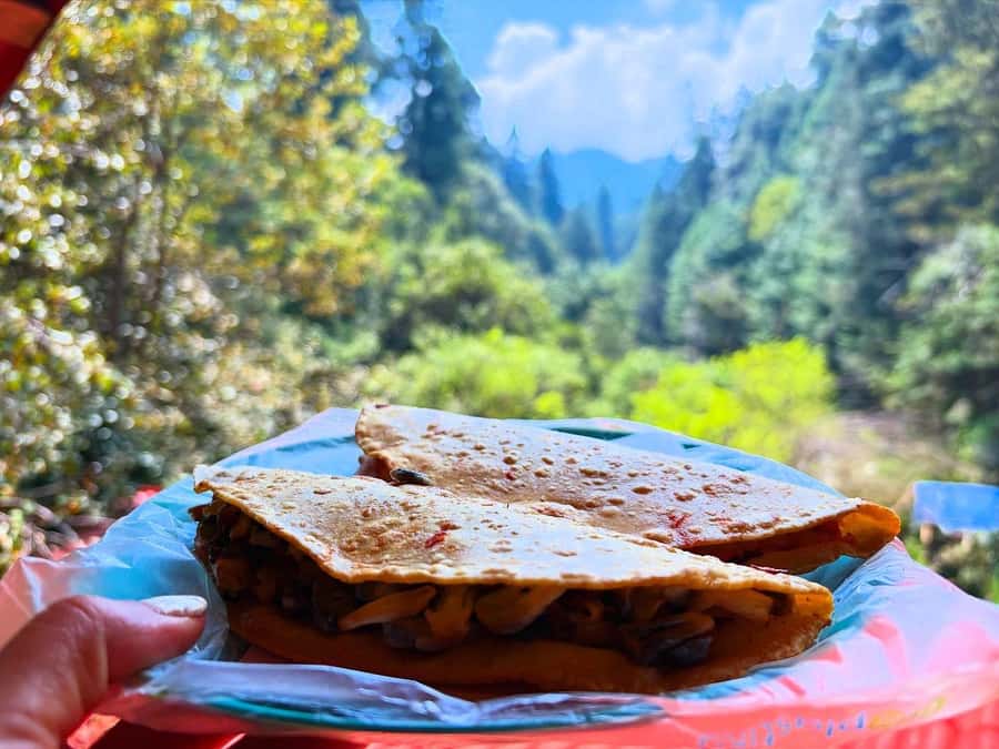 Mexico City: Guided Hike in the Dinamos Forest - Hiking pace, comfort, and what to pack for 5 hours