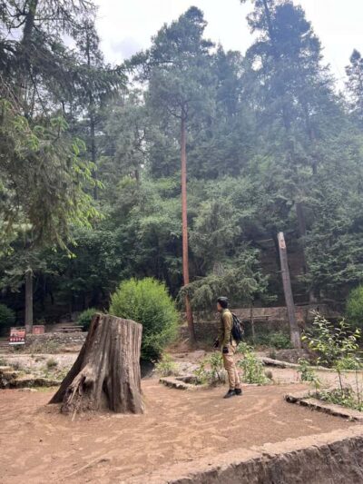 Mexico city: Hiking tour to Desierto de los leones - Pickup, timing, and how the day flows