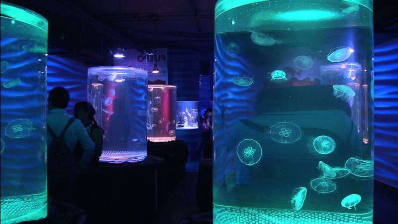 Mexico City: Inbursa Aquarium optional Round trip transfer - Key things to know before you go