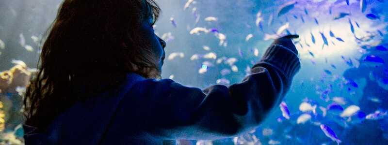 Mexico City: Inbursa Aquarium optional Round trip transfer - The Blau Life Conservation Center: what you actually learn