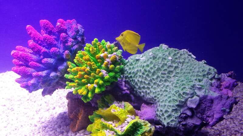 Mexico City: Inbursa Aquarium optional Round trip transfer - The 3-hour flow: meeting point to guided visit