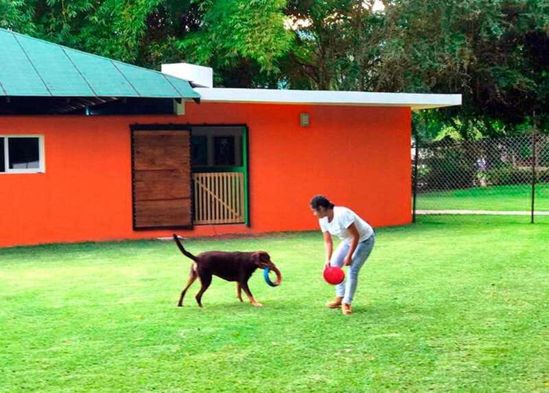 Mexico City: Las Estacas Natural Park Private Tour - Spa Time Plus Zip-Line and Water-Swing: Pick Your Energy