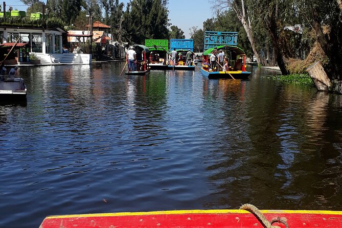 Mexico City Like a Local: Private & Custom Experience (2-4 hrs) - What to bring: sun protection and comfort make the difference