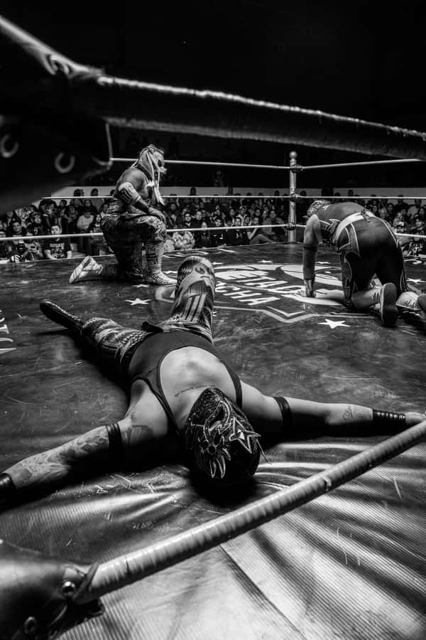Mexico City: Mexican evening, lucha libre, and tequila - Key things that make this tour worth your time