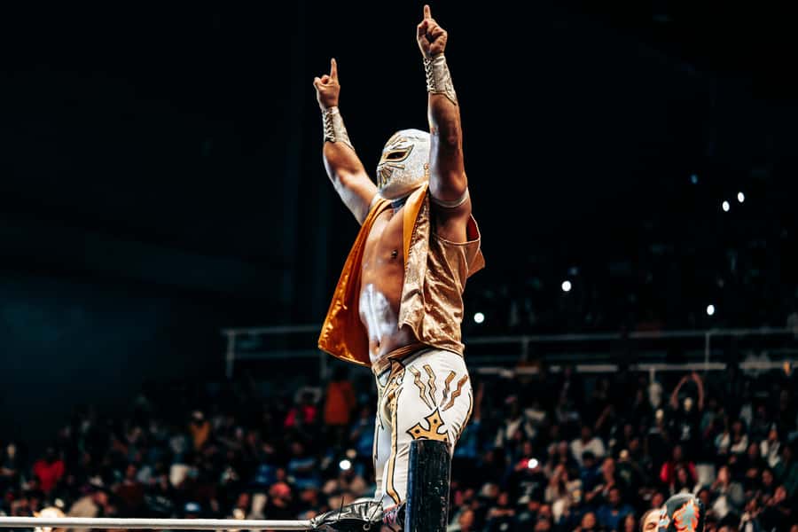 Mexico City: Mexican evening, lucha libre, and tequila - Why Lucha Libre Nights in Mexico City Feel Different