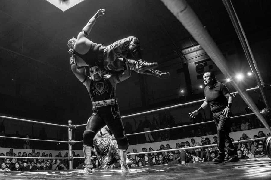 Mexico City: Mexican evening, lucha libre, and tequila - Spirits First: Tequila and Mezcal With the Mask Story