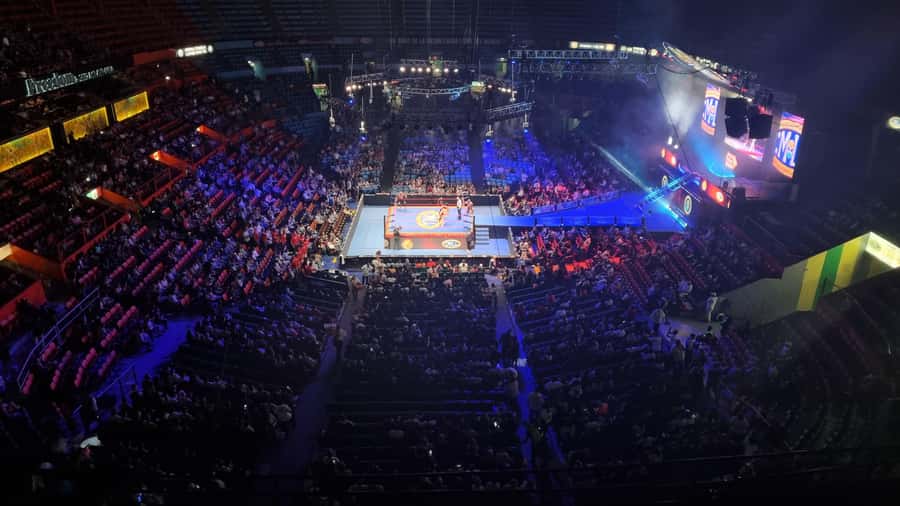 Mexico City: Mexican evening, lucha libre, and tequila - Who Should Book This (and Who Might Skip)