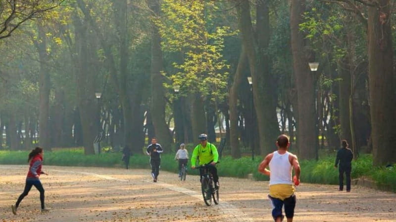 Mexico City: Private Chapultepec Park Bike Tour - Why Chapultepec by bike beats doing it on foot