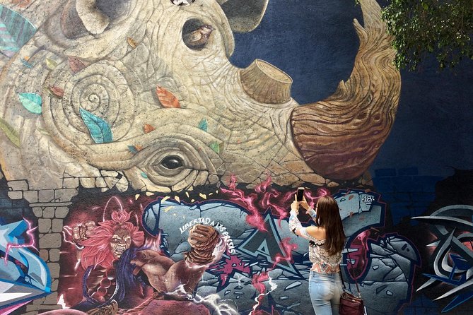 Mexico City Private Street Art Tour - Starting in Centro Histórico: Meeting Point and First Orientation