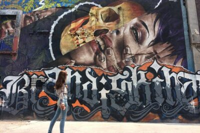 Mexico City Private Street Art Tour - Your Two-Hour Plan: 10–12 Blocks on Flat Ground
