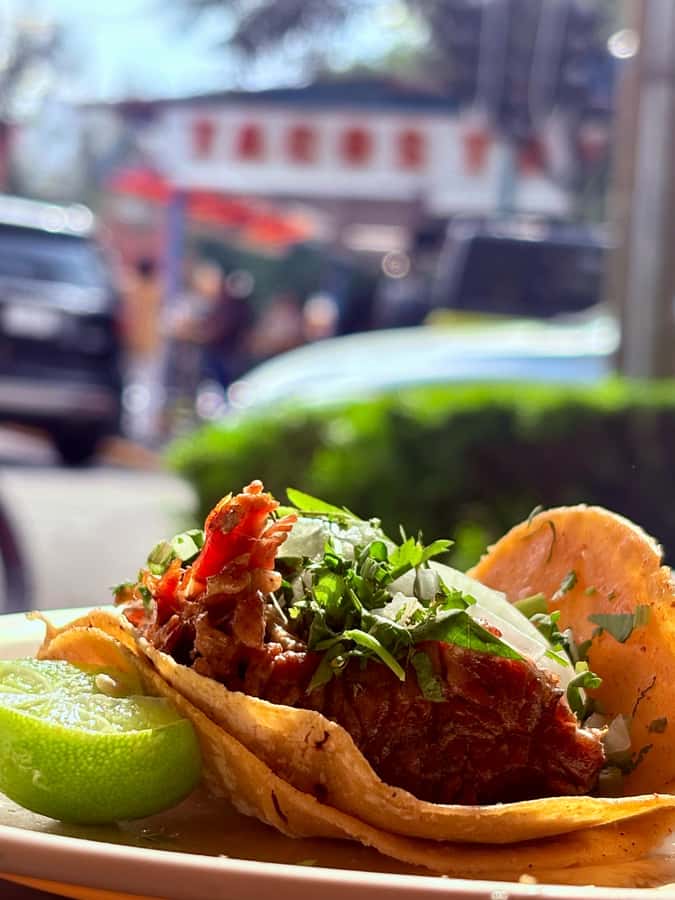 Mexico City: Taco Tour with Michelin Guide Spot & Tastings - FAQ