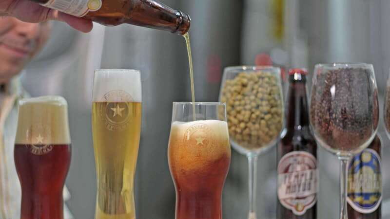 Mexico City Tasting Tour and Craft Beer Experience - Key Things You’ll Notice on This Craft Beer Tour