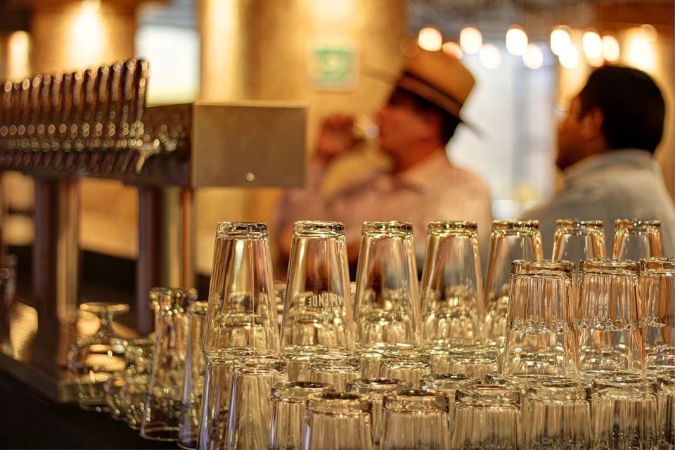 Mexico City Tasting Tour and Craft Beer Experience - Hop The Beer Experience 2: Outdoor Yard, 52 Taps, Chill Energy