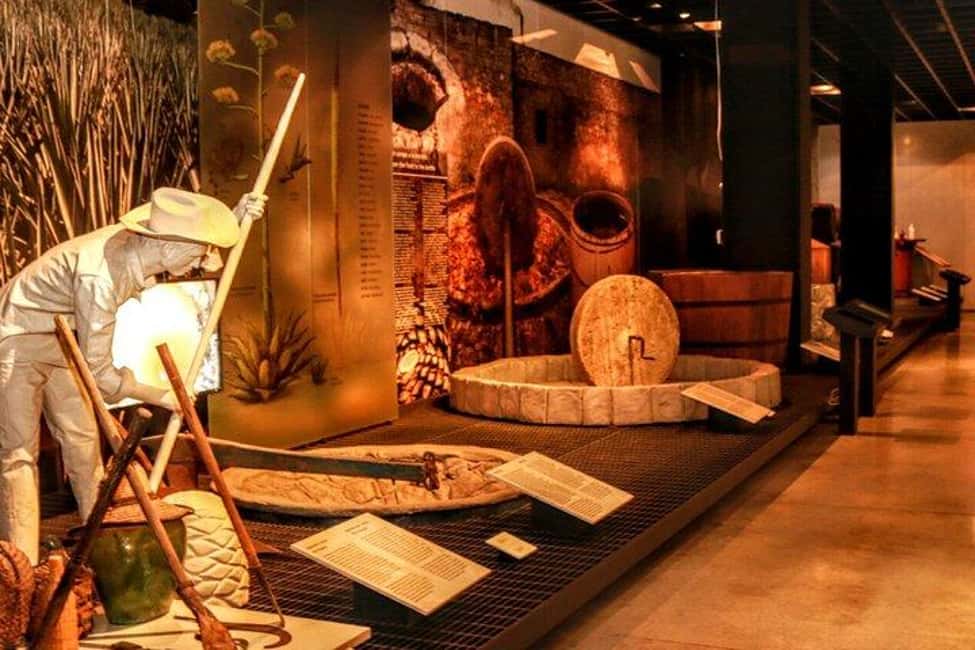 Mexico City: Tequila and Mezcal Museum Ticket with Tastings - The Museum Tour: How the Story Becomes a Tasting Lesson