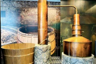 Mexico City: Tequila and Mezcal Museum Ticket with Tastings - Starting at the Museo del Tequila y el Mezcal: Getting Oriented Fast