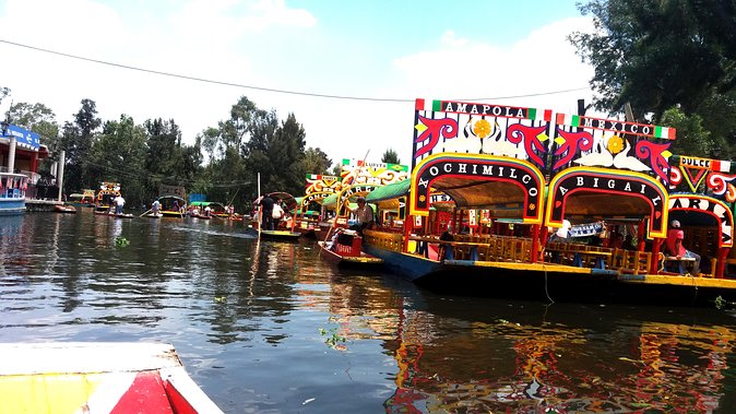 Mexico City Tour And Xochimilco - Downtown Panoramas: Reforma, World Trade Center, and Fast City Orientation