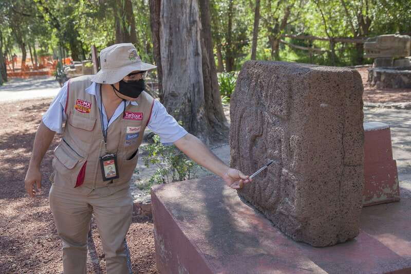 Mexico City: Trip to Teotihuacan Pyramids & Guadalupe Shrine - Pyramids of the Sun and Moon: the climb and the payoff