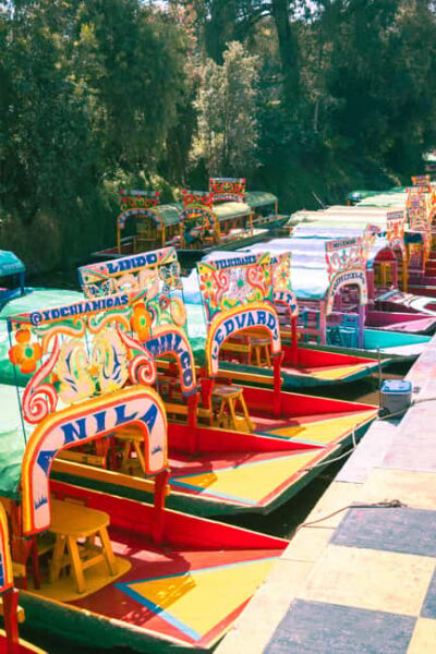 Mexico City: Xochimilco Boat with Guacamole & Premium Drinks - The first stretch on the water: What the guided ride actually does for you