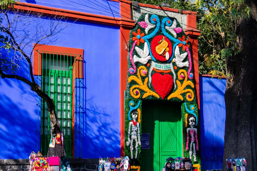 Mexico City: Xochimilco Coyoacan, Frida Kahlo & UNAM Murals - Guides, Languages, and What the Day Feels Like
