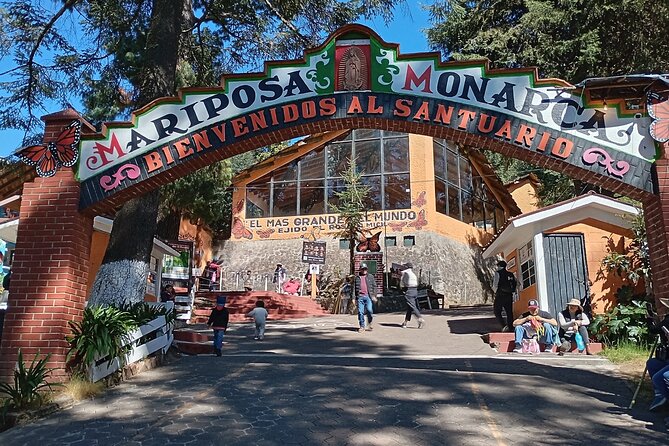 Monarch Butterflies El Rosario Preserve from Mexico City - The preserve visit: what 2 hours feels like on the ground