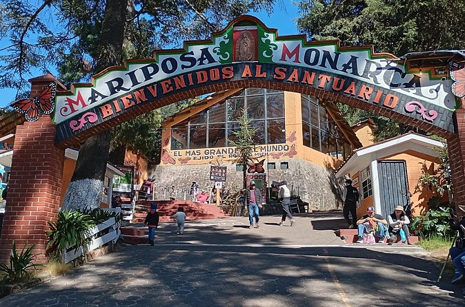 Monarch Butterflies El Rosario Preserve from Mexico City - What to bring (and what to skip) for monarch season conditions