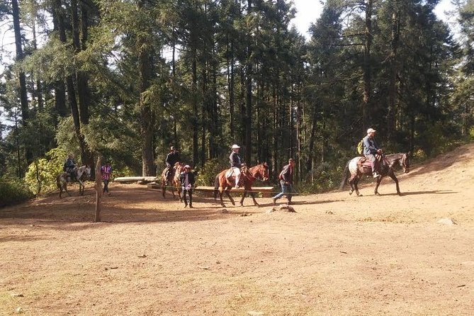 Monarch Butterfly Tour from Mexico City - Guides and drivers: what to expect from the human side