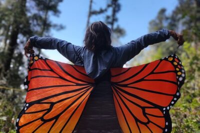 Monarch Butterfly Tour Mexico: Sierra Chuincua and Magic Town - Stop 1: The Morning Transfer and Road Storytelling