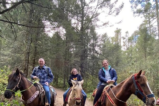 Monarch Butterfly Tour Mexico: Sierra Chuincua and Magic Town - Stop 4: The Ride Back and Why It Feels Longer Than You Think