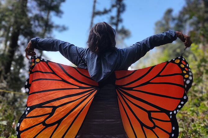 Monarch Butterfly Tour Mexico: Sierra Chuincua and Magic Town - Stop 1: The Morning Transfer and Road Storytelling