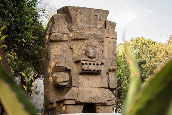 Museum of Anthropology skip the line tour for Families & Groups - Practical Tips for a Smooth Museum Visit
