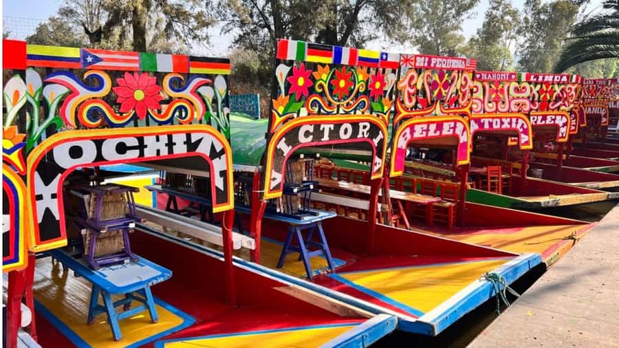 Music and Tequila in Xochimilco visits Coyoacán and CU - Xochimilco by trajinera: canals, chinampas, and a party-like rhythm