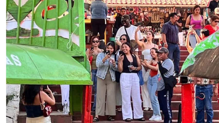 Music and Tequila in Xochimilco visits Coyoacán and CU - Tequila tasting on the water: what’s included and what to double-check
