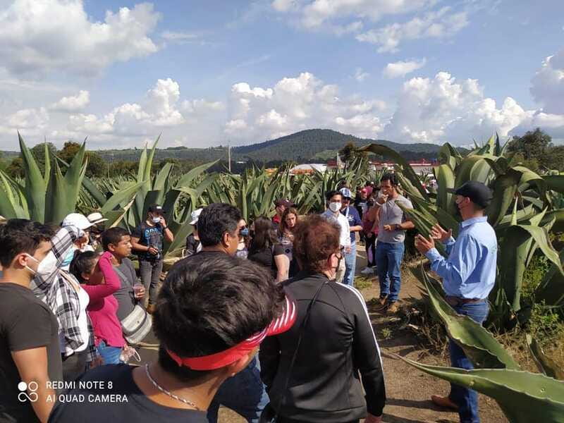 One day tour from Mexico City to Firefly Sanctuary - Who this tour is for (and who should skip it)