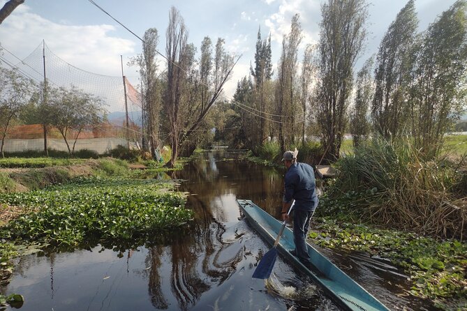 Pre-Hispanic Xochimilco, local food included and ajolotario. - San Bernardino de Siena: a quick 16th-century cathedral stop