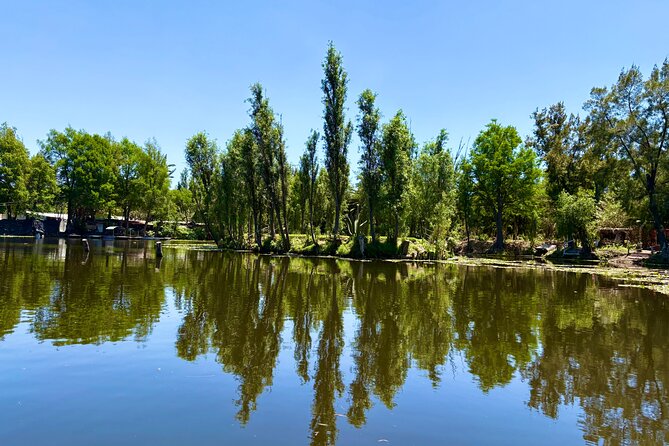 Prehispanic Xochimilco: Market, chinampas, axolotls kids friendly - Learning chinampas on a floating island (the part that sticks)