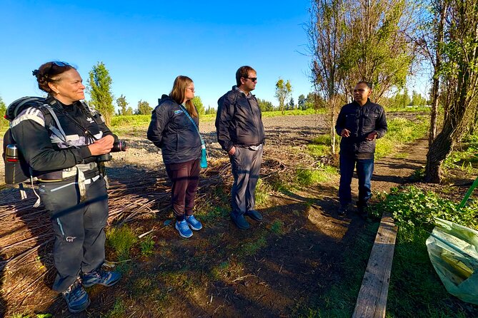 Prehispanic Xochimilco: Market, chinampas, axolotls kids friendly - Who this tour is best for (and who might want something different)