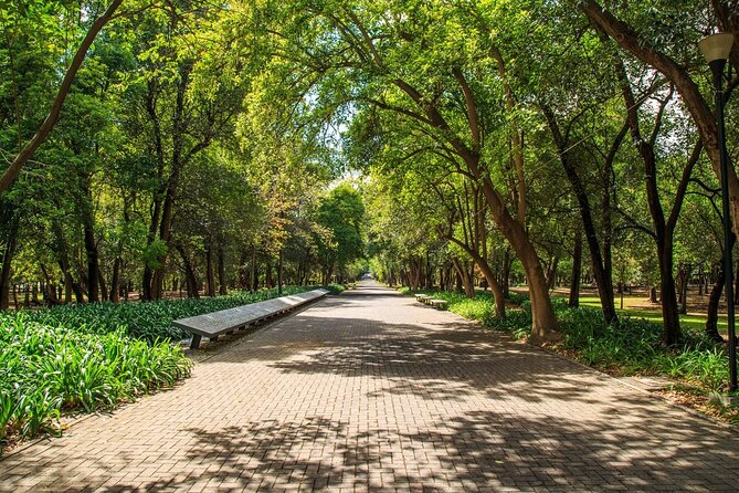 Private Chapultepec Park by Bike Guided Tour - Stop 4: Complejo Cultural de Los Pinos