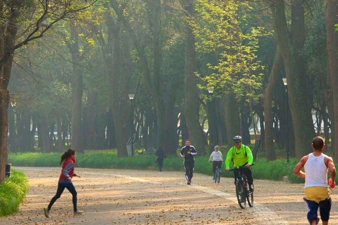 Private Chapultepec Park by Bike Guided Tour - Stop 5: Fountain of Temperance (Fuente de la Templanza)