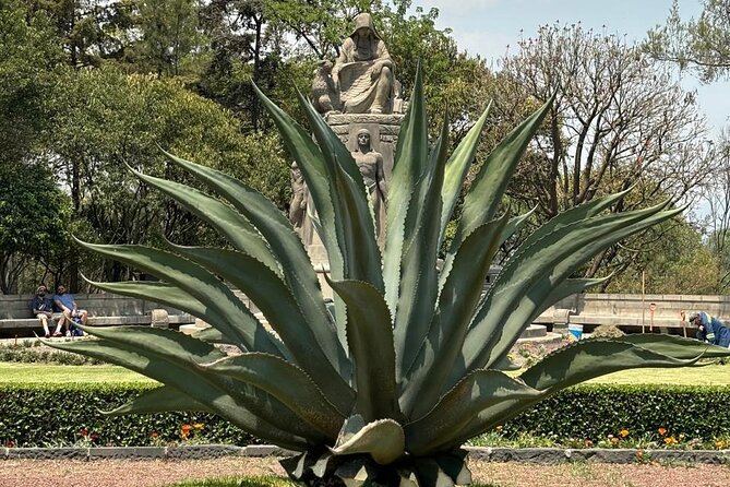 Private Tour in the Historic Center of CDMX and Chapultepec - Chapultepec Castle: the uphill climb and the museum navigation