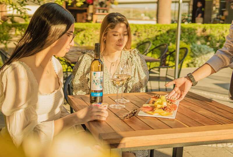Private tour to Peña de Bernal & Freixenet Winery from CDMX - Price and value: is $653 per person worth it?