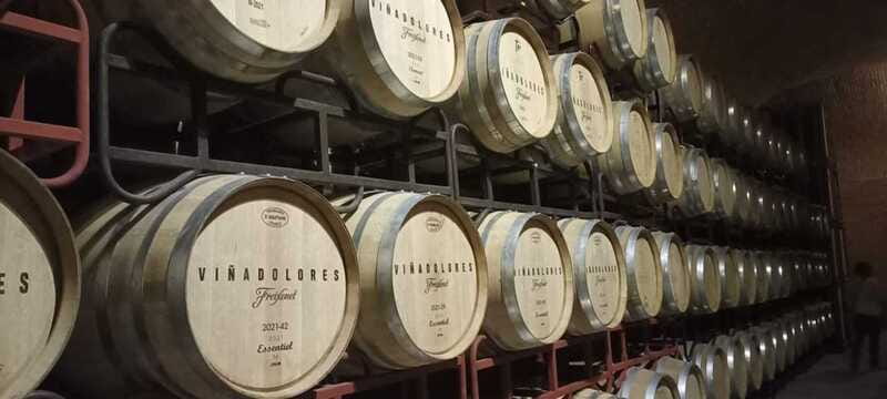Private tour to Peña de Bernal & Freixenet Winery from CDMX - Peña de Bernal: that giant monolith photo stop