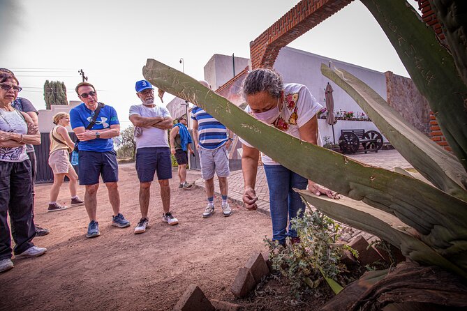 Private Tour to Teotihuacán and the Basilica of Guadalupe - Basilica of Guadalupe day: Tepeyac hill and the chapel circuit