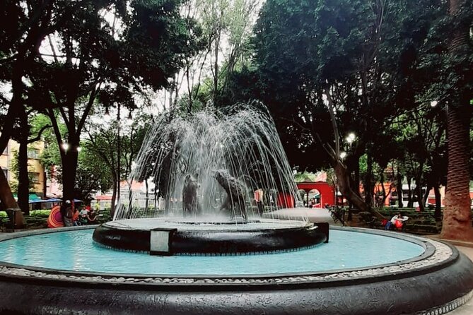 Private Tour to Xochimilco, Coyoacan and the World of Frida Kahlo - Stop 1 Tips: How to Enjoy the Ride Without Feeling Like a Tourist