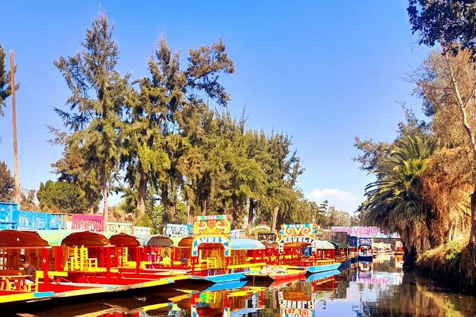 Private Tour to Xochimilco, Coyoacan and the World of Frida Kahlo - Stop 1: Floating Gardens of Xochimilco by Tranjinera (That 1-Hour Magic)