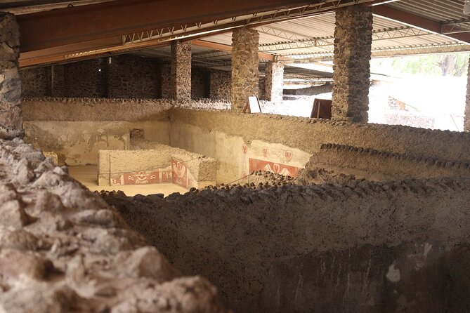 Private Tour with Archaeologist and VR Experience at Teotihuacan - Residential areas, murals, and how to spot everyday life