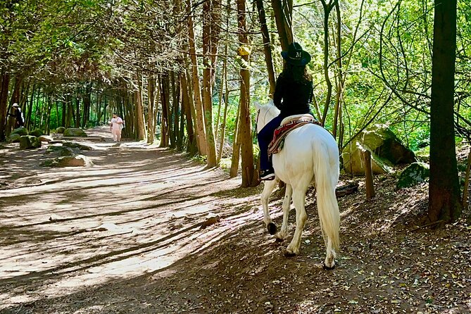 Ride Horses, Learn to Cook with Locals in Mexico City - The Ride Route: Streets, Alleys, Trails, and a Little River Crossing