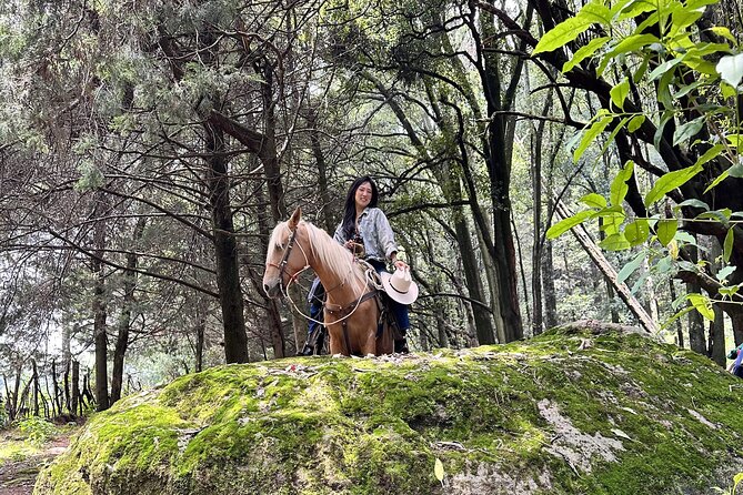 Ride Horses, Learn to Cook with Locals in Mexico City - The Mountain Cabin Cooking Class: Tortillas, Sauces, and Real Fire
