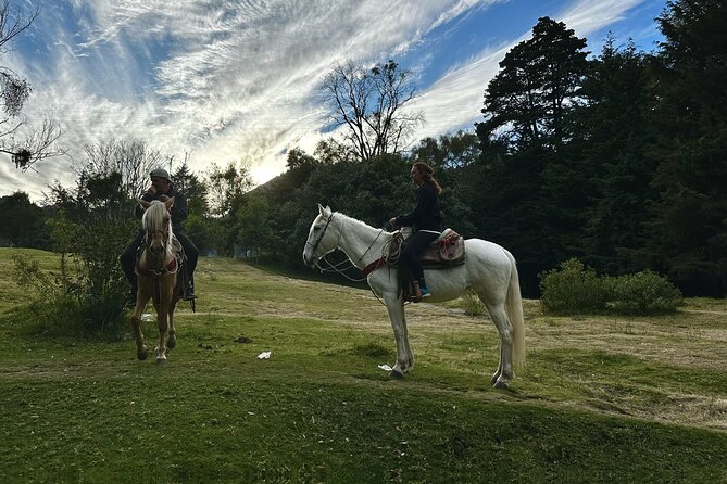 Ride Horses, Learn to Cook with Locals in Mexico City - Ingredient Stops That Feel Like Local Life (Not a Tourist Shop)