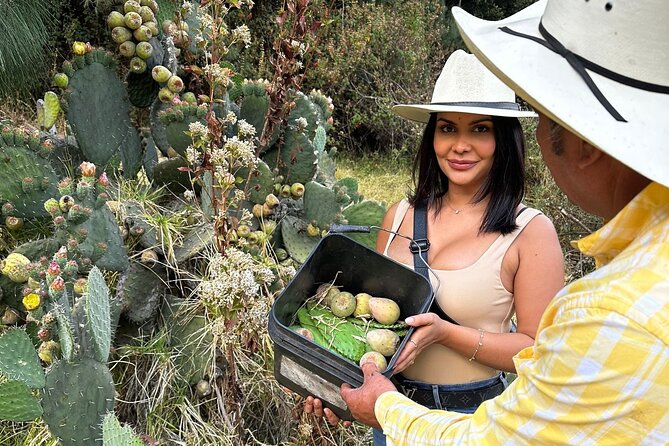 Ride Horses, Learn to Cook with Locals in Mexico City - Who This Works Best For (and Who Might Want Another Option)