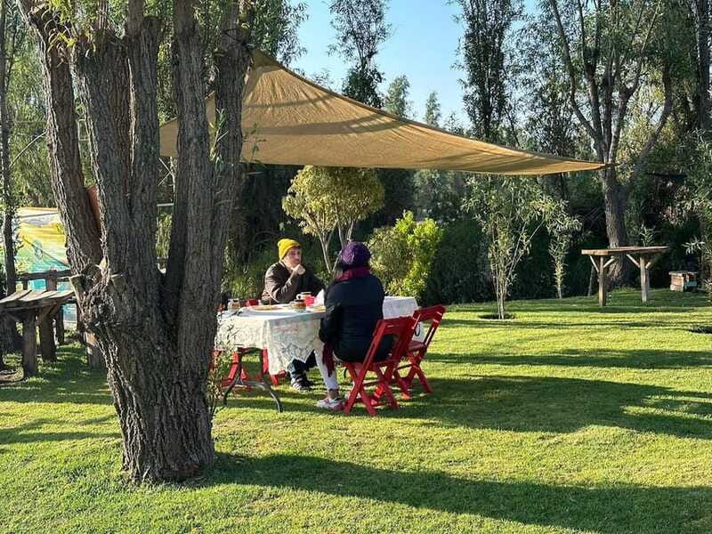 Sunrise in Xochimilco - Price and Value: What $145 Covers (and Why It’s Not Just a Boat Ride)